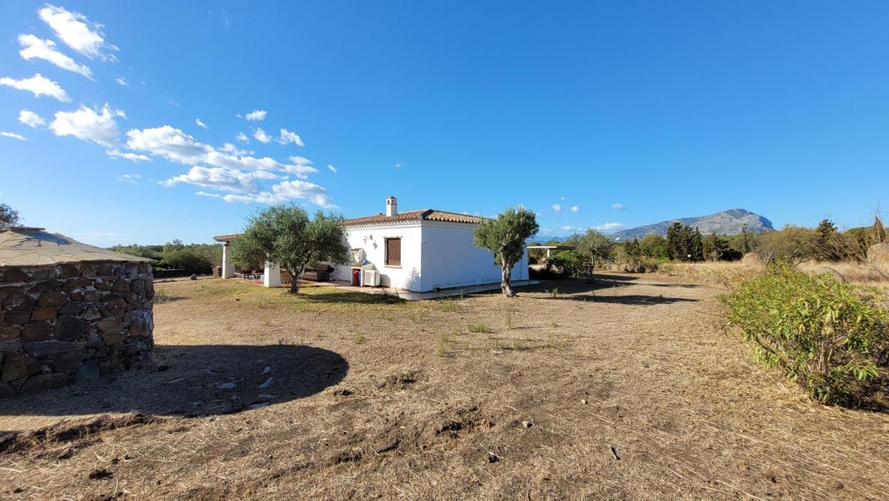 Villa Casa Mate Orosei Exterior photo